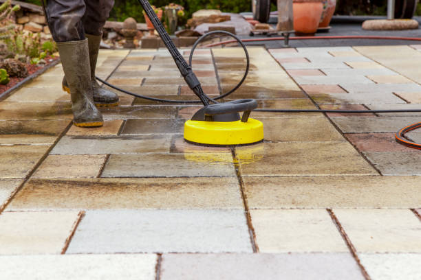Best Sidewalk and Walkway Cleaning  in Sycamore, IL